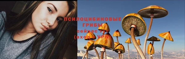экстази Новозыбков