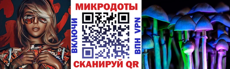 Галлюциногенные грибы Magic Shrooms  Купить где  Полярный 